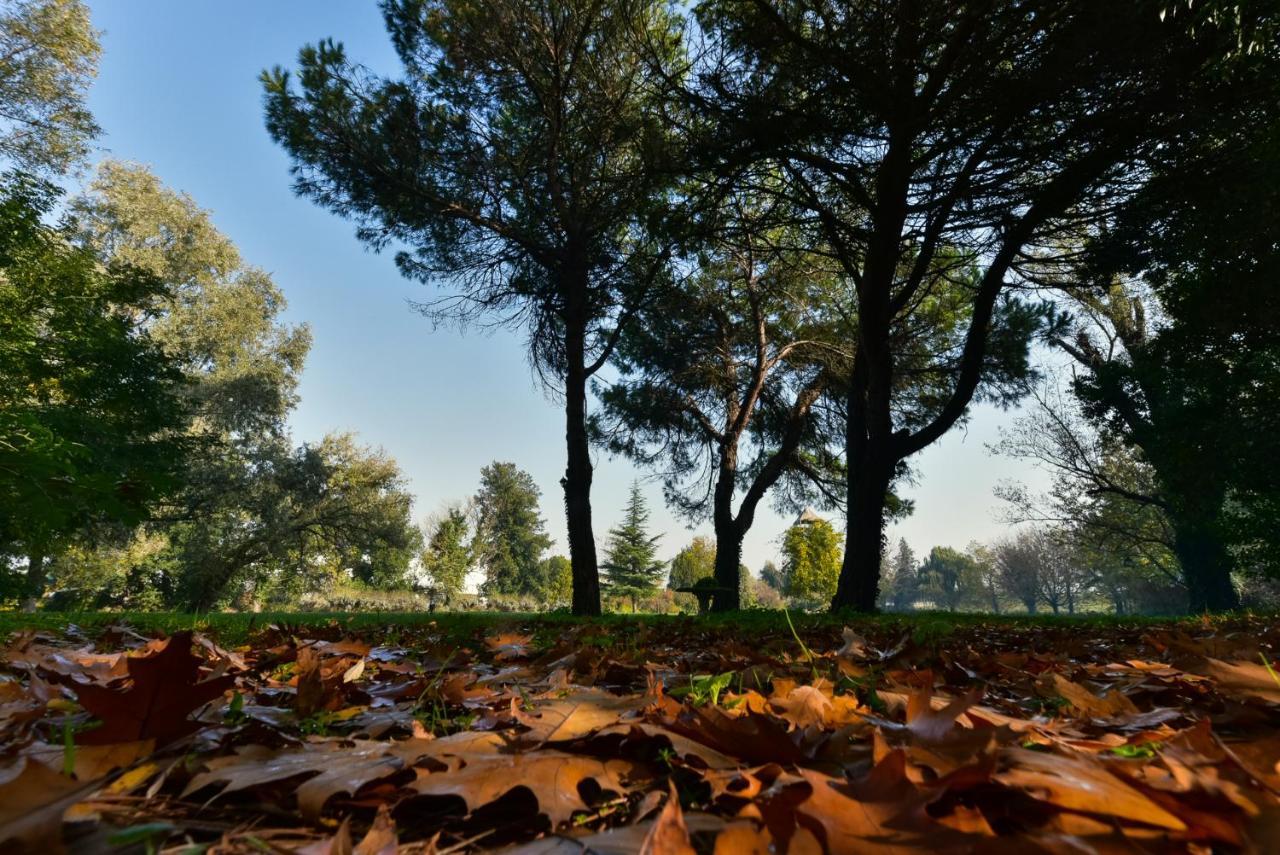 Villa Carrer Porto Viro Kültér fotó